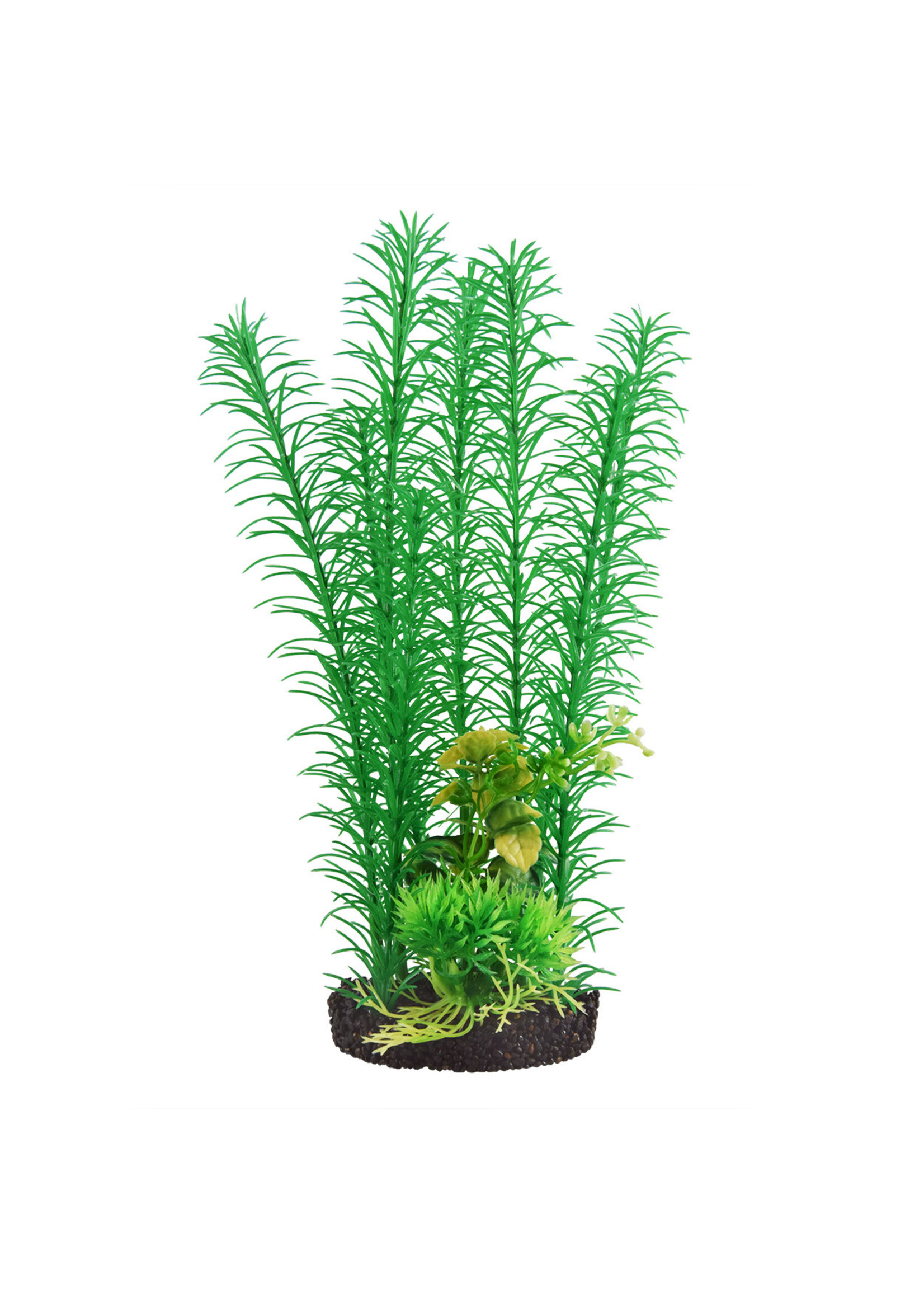 Underwater Treasures MAYACA GREEN