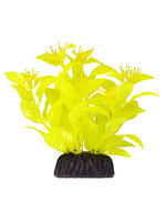 Underwater Treasures LUDWIGIA YELLOW 3"