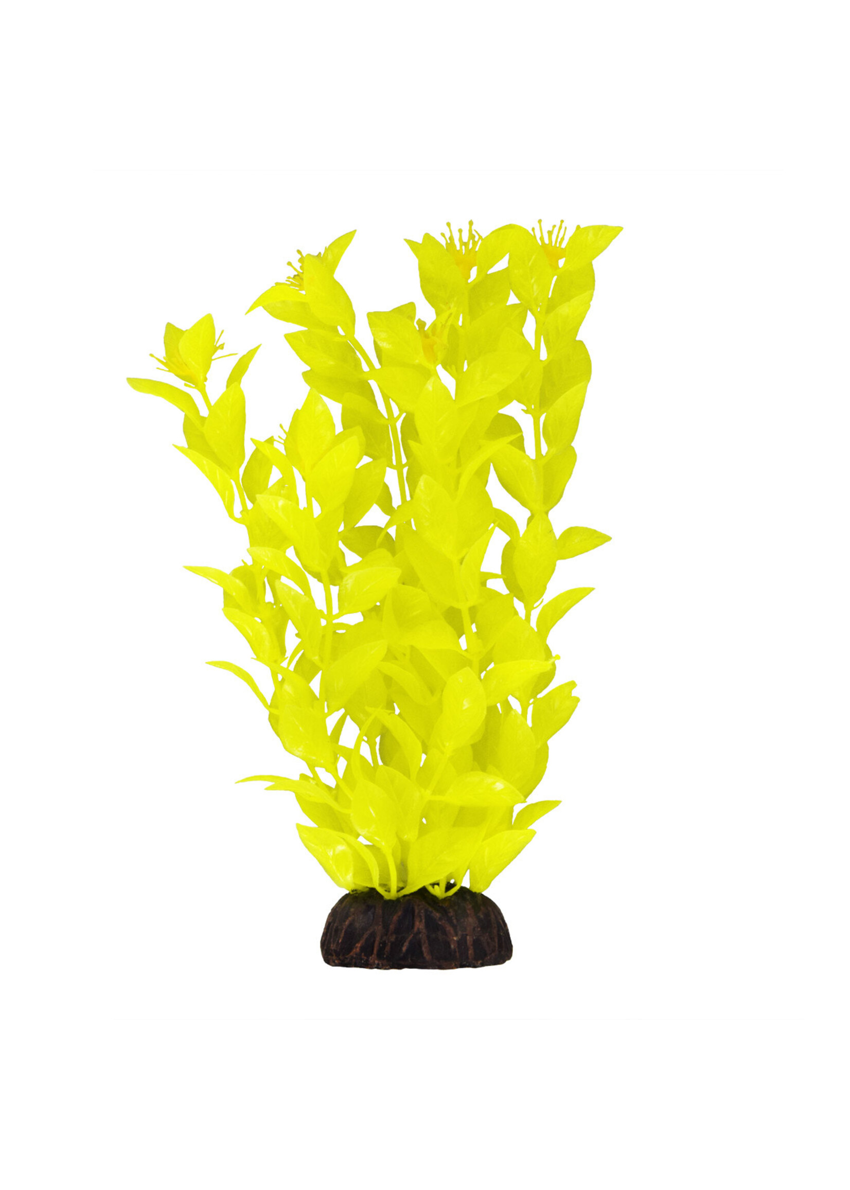 Underwater Treasures LUDWIGIA YELLOW 8"