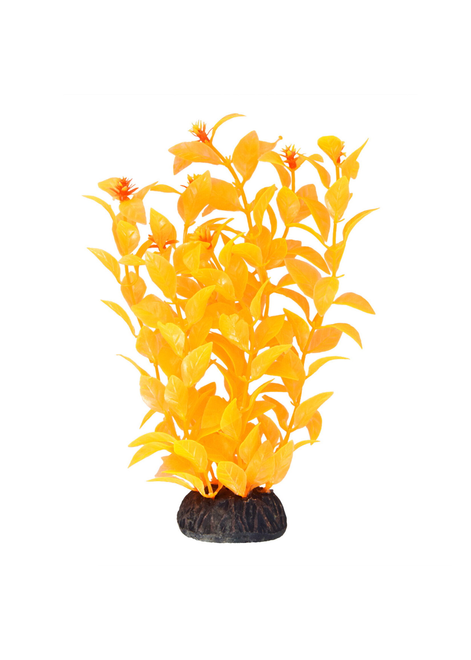 Underwater Treasures LUDWIGIA ORANGE 8"