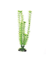 Underwater Treasures GREEN CABOMBA 12IN