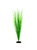 Underwater Treasures GREEN HAIRGRASS 24IN