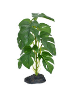 Komodo STANDING MONSTERA PLANT