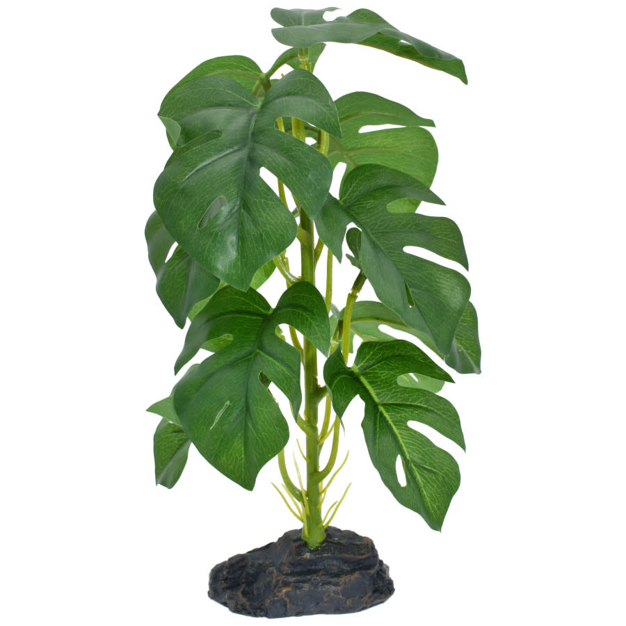 STANDING MONSTERA PLANT