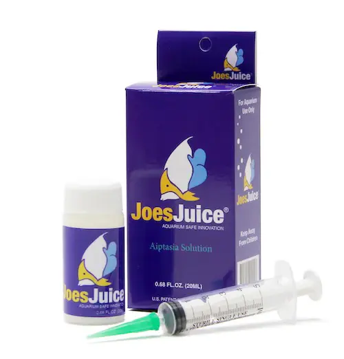 AIPTASIA SOLUTION 20 ML