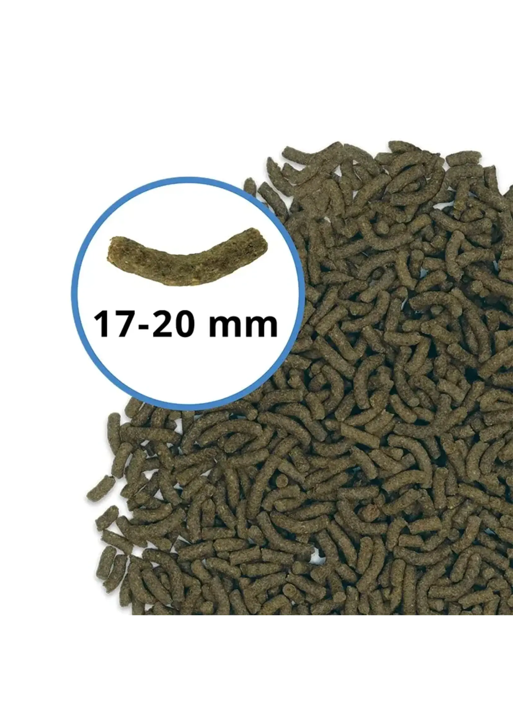 Fluval BUG BITES BOTTOM FEEDER STICKS PLECO 4.6 OZ