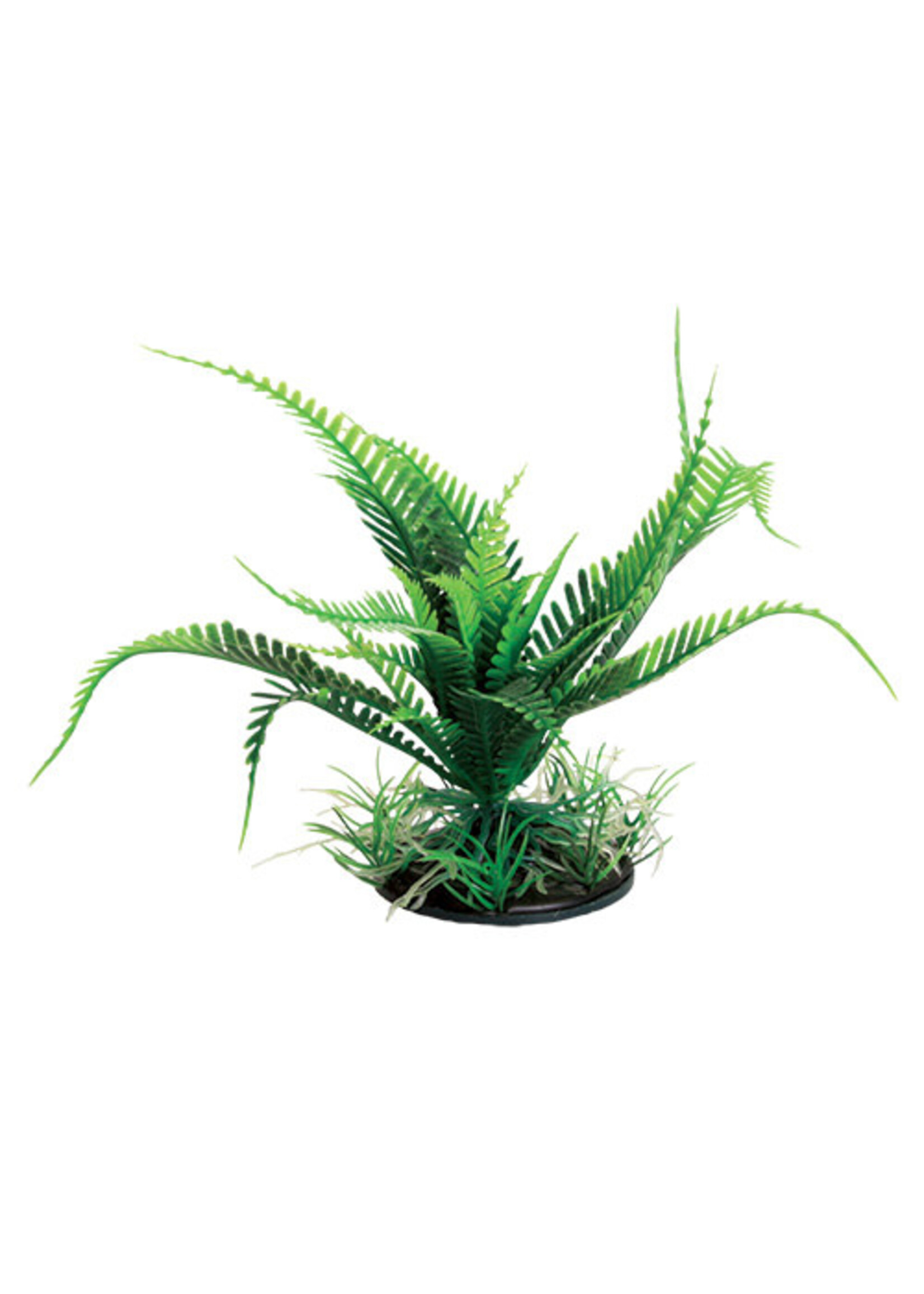 Underwater Treasures WEEPING FERN GREEN 6"