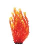 Underwater Treasures ORANGE CABOMBA 20"
