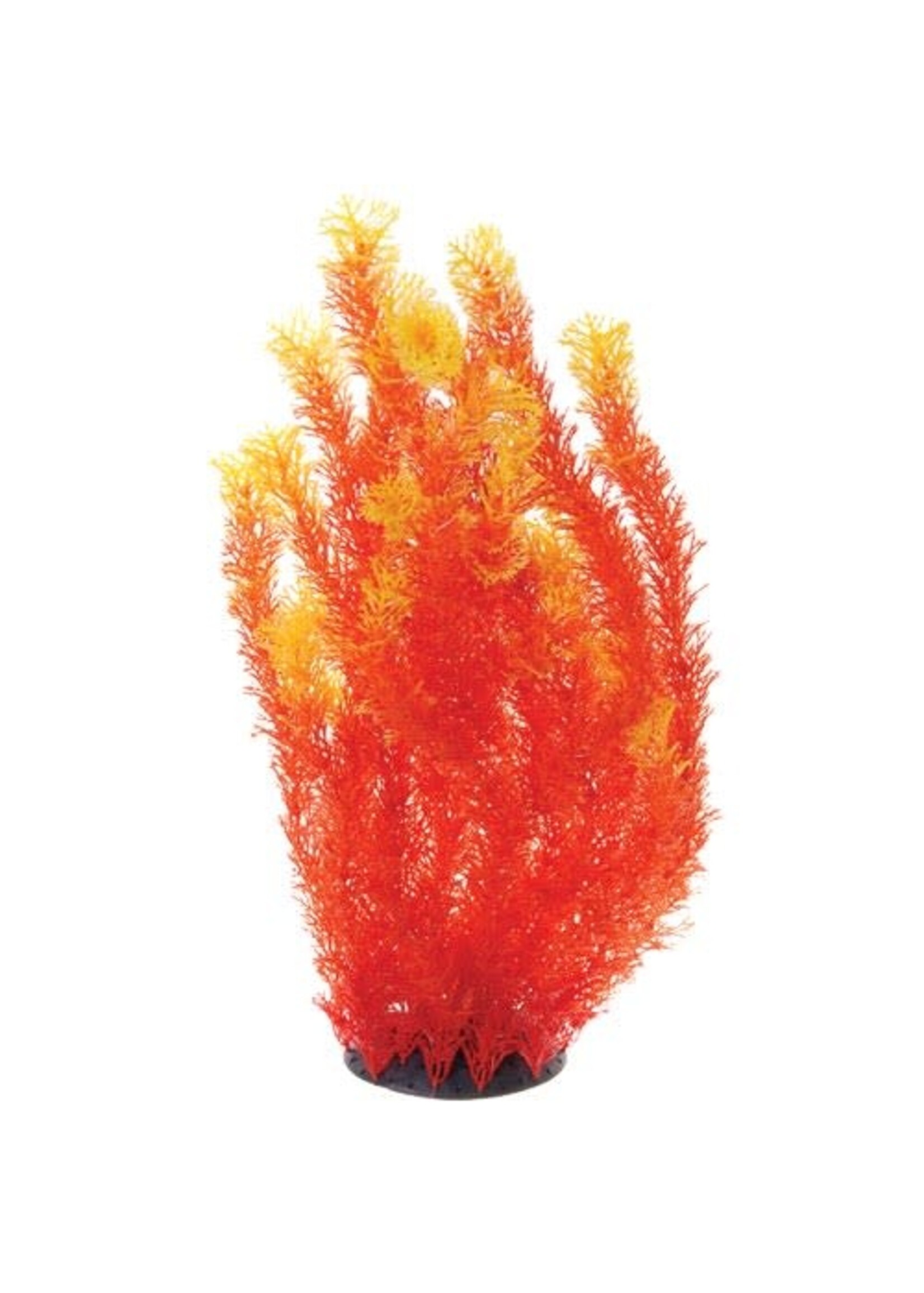 Underwater Treasures ORANGE CABOMBA 20"
