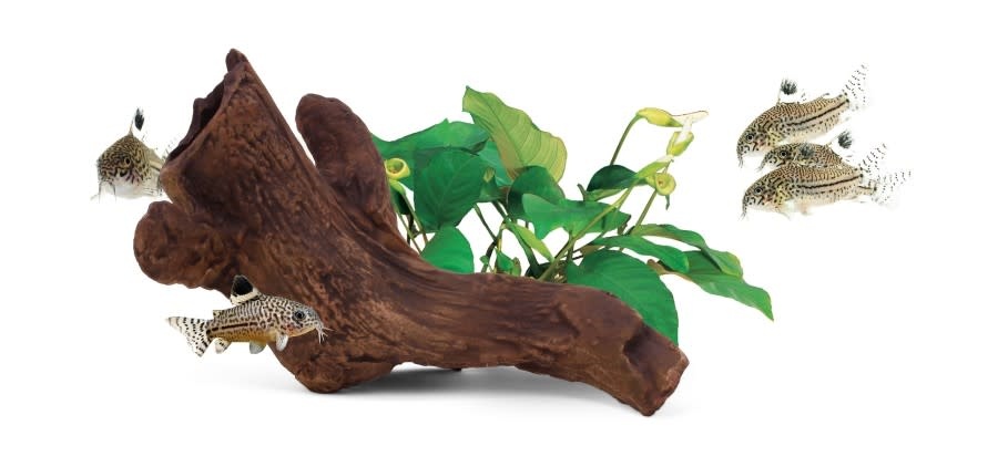 AQUAVITRO CERAMIC HIDES B2