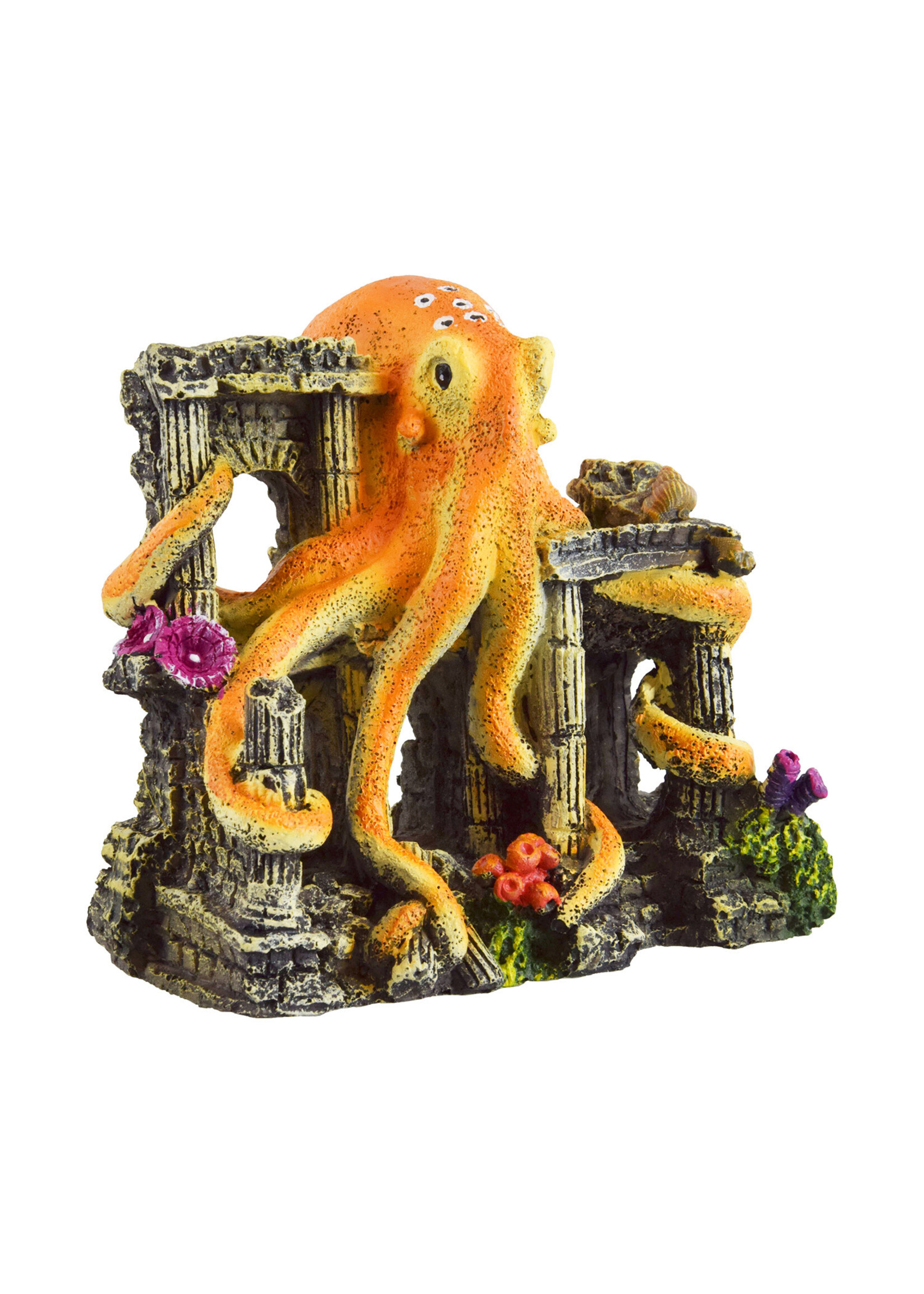 Underwater Treasures OCTOPUS RUIN