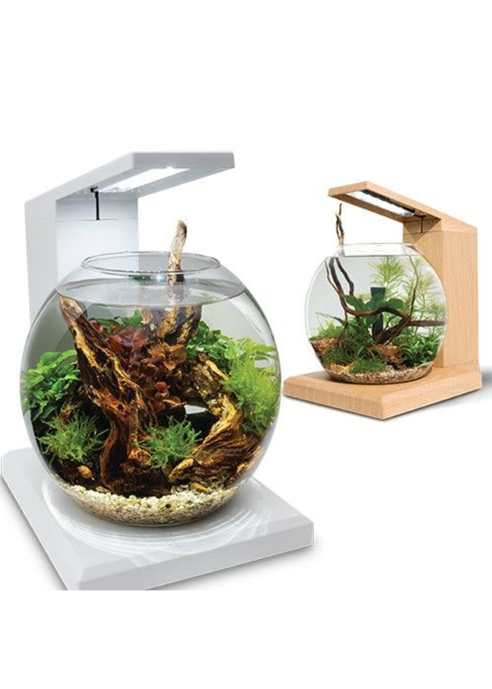 Fluval LIV 6.7 L MICROSCAPING AQUARIUM KIT TEAK