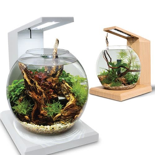 LIV 6.7 L MICROSCAPING AQUARIUM KIT TEAK
