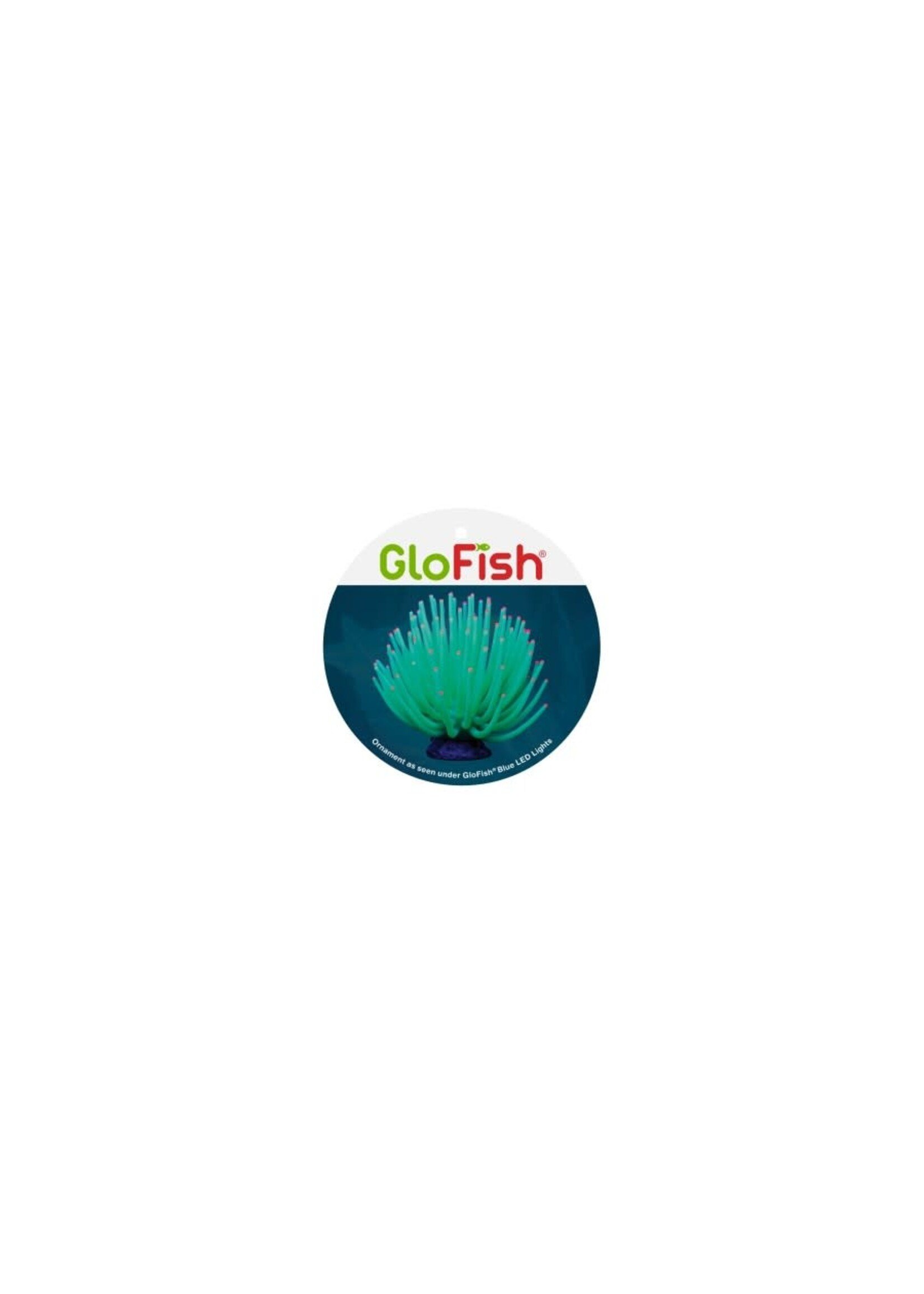 GloFish GLOFISH ANEMONE GREEN