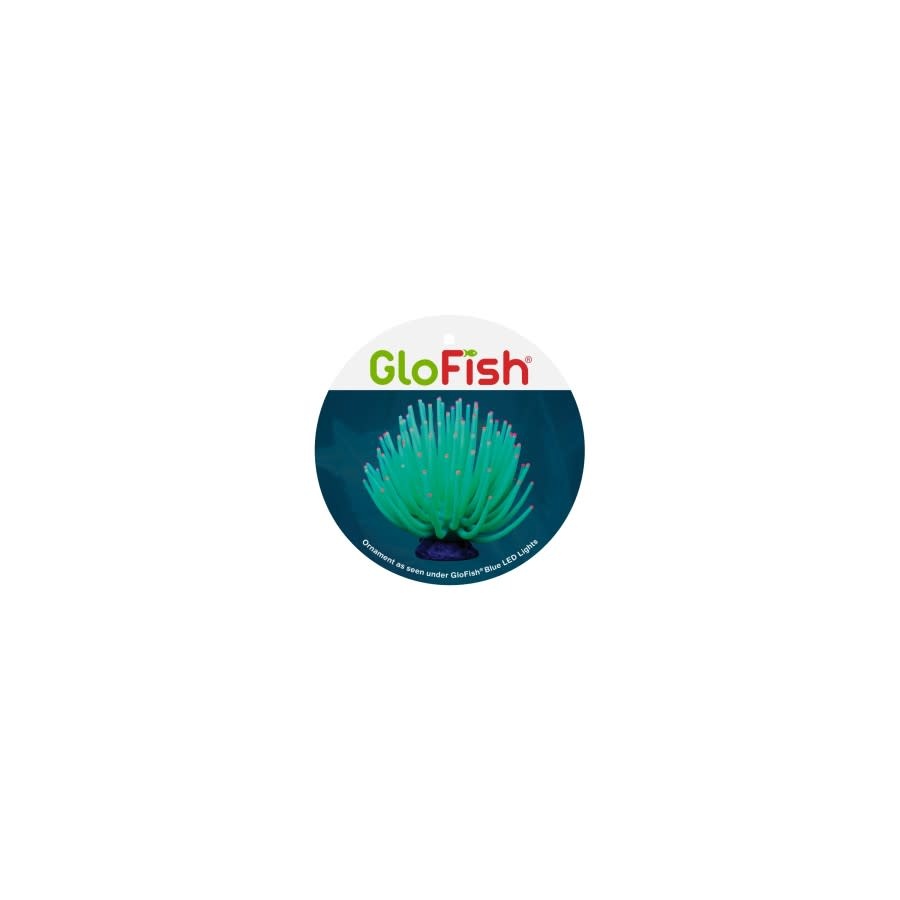 GLOFISH ANEMONE GREEN
