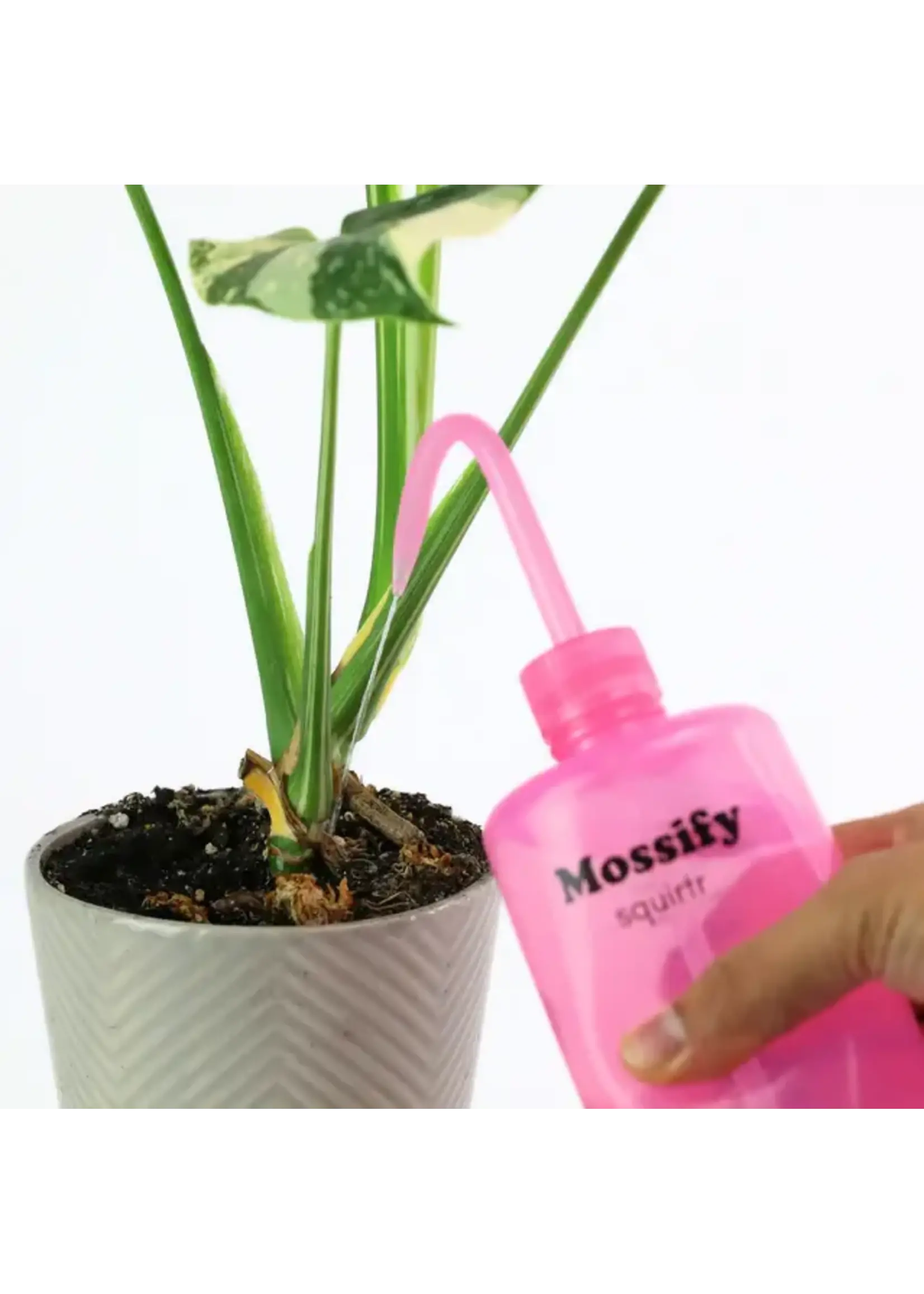 Mossify MOSSIFY SQUIRTR