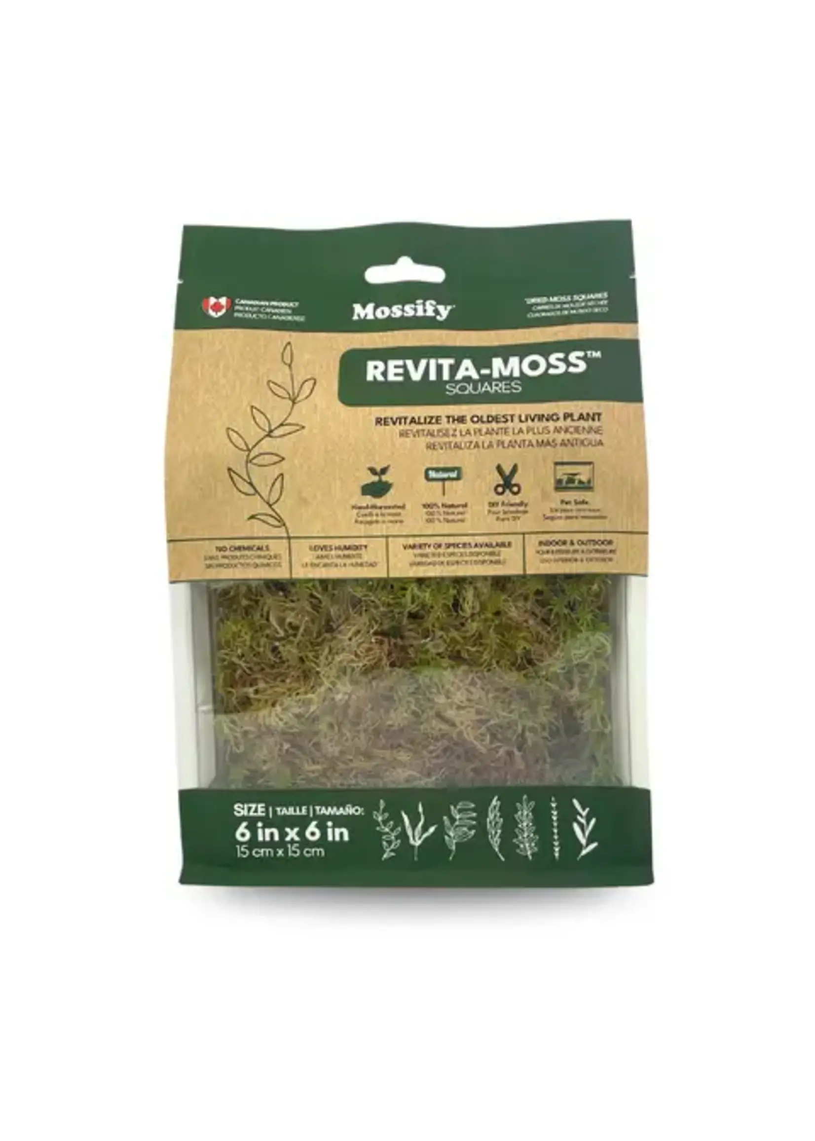 Mossify MOSSIFY CANADIAN SPHAGNUM MOSS FIMBRIATUM LIVE MOSS / DORMANT MOSS