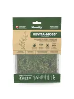 Mossify FOREST MOSS PLEUROZIUM SCHREBERI LIVE MOSS / DORMANT MOSS