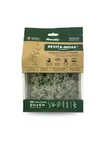 Mossify LICHEN MOSS CLADONIA ARBUSCULA LIVE MOSS / DORMANT MOSS