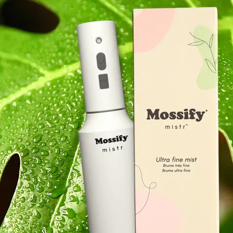 THE ORIGINAL MOSSIFY MISTR