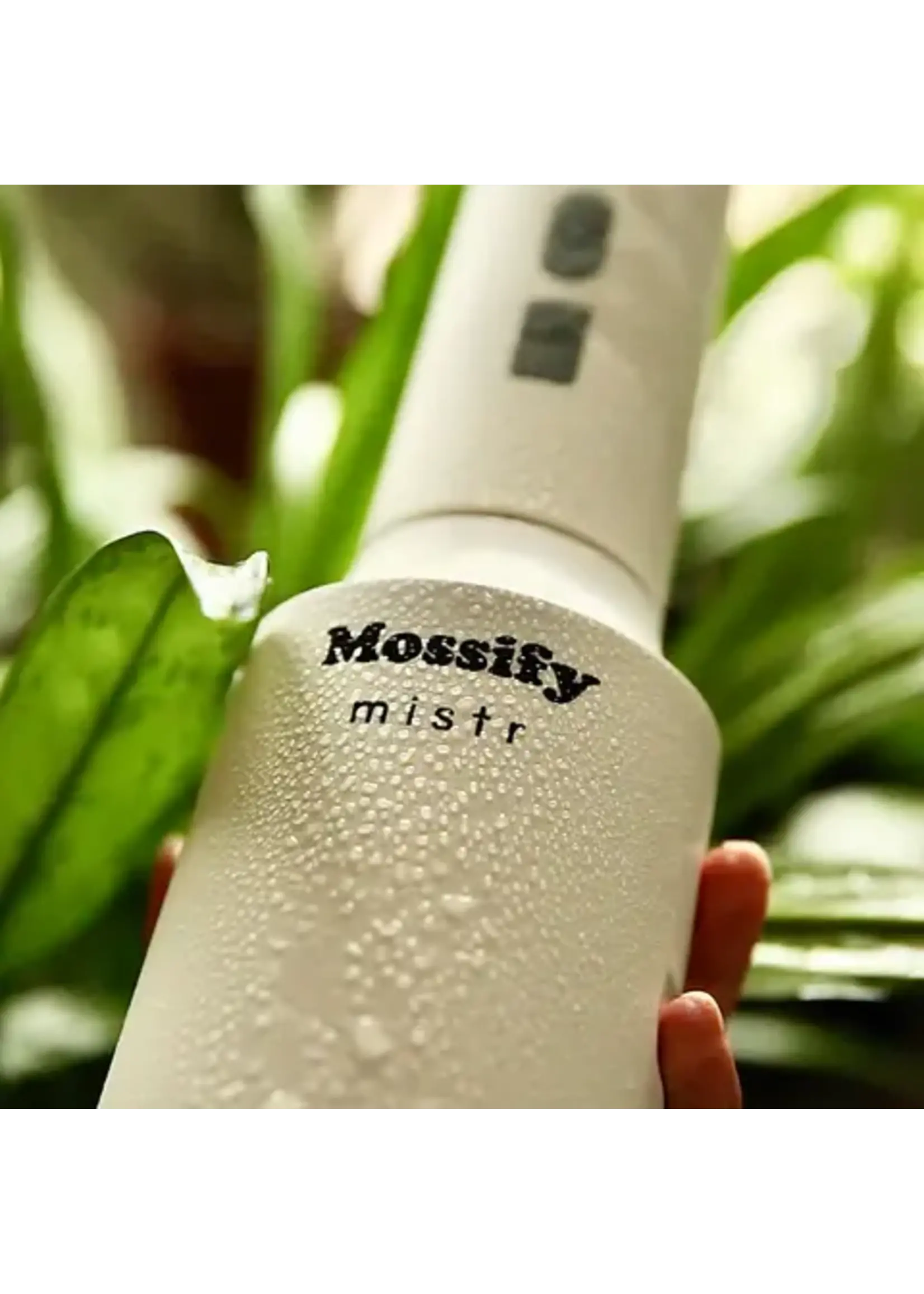 Mossify THE ORIGINAL MOSSIFY MISTR