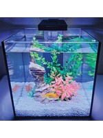 Level One Pets MINI 3 GALLON AQUARIUM KIT INCLUDES DUO 2 IN 1