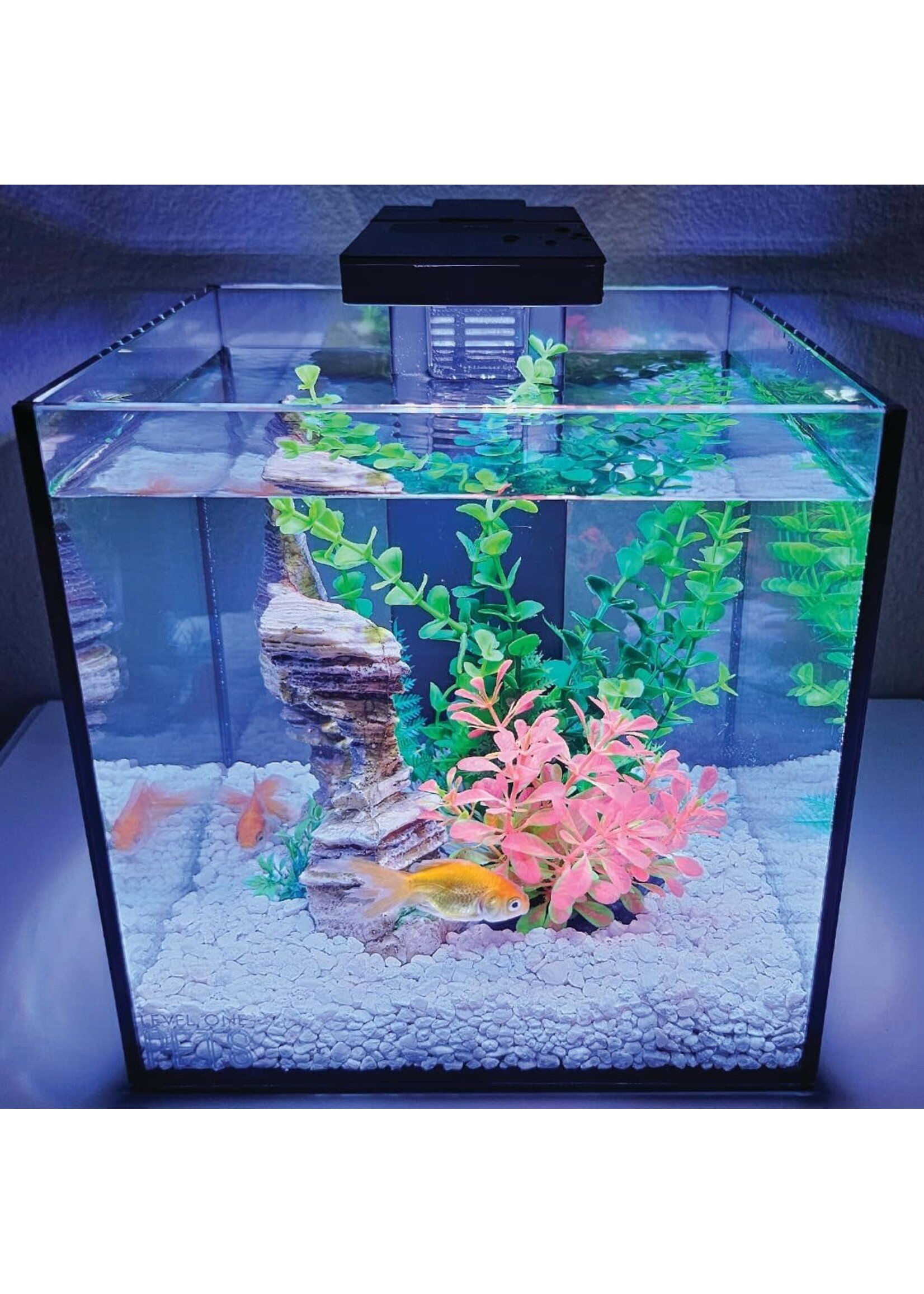 Level One Pets MINI 3 GALLON AQUARIUM KIT INCLUDES DUO 2 IN 1