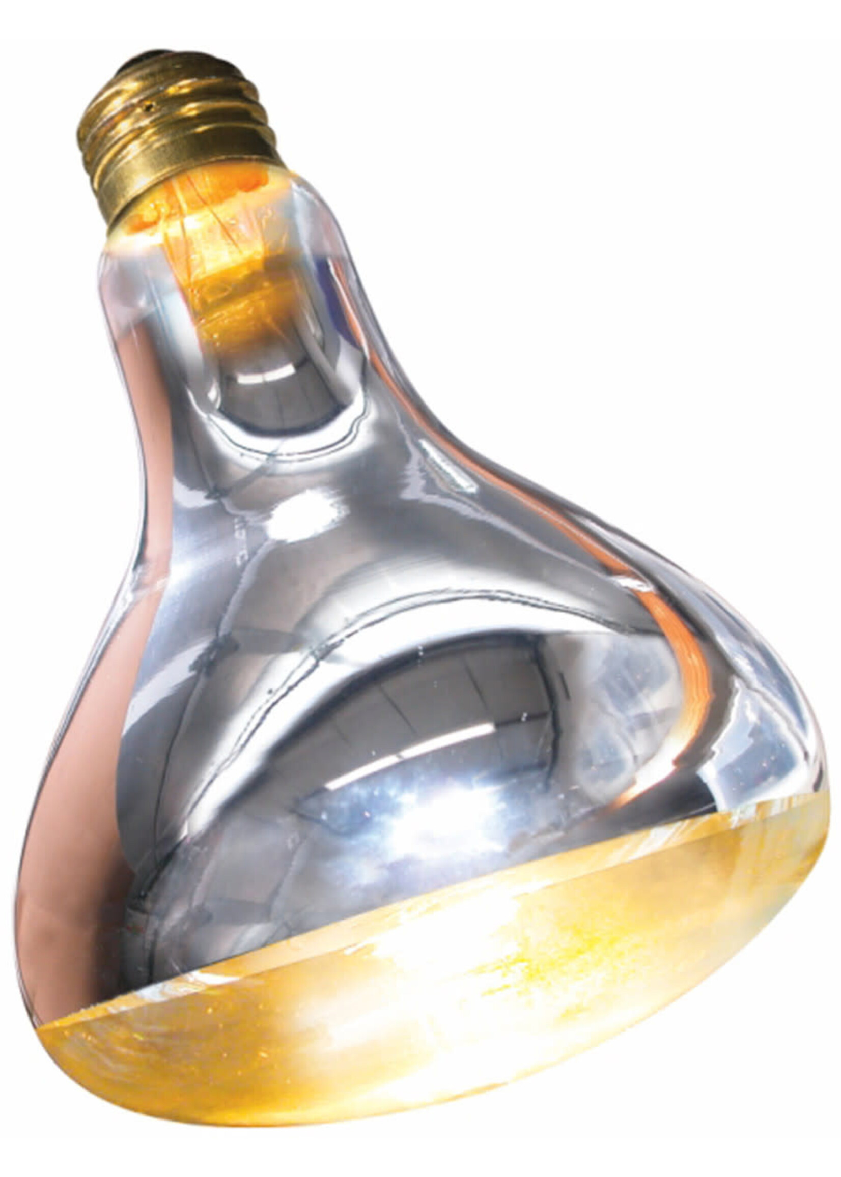 Zoo Med REPTI SPOT BULB BASKING 250 W