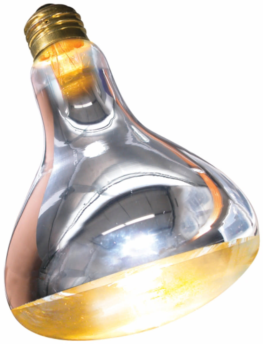 REPTI SPOT BULB BASKING 250 W