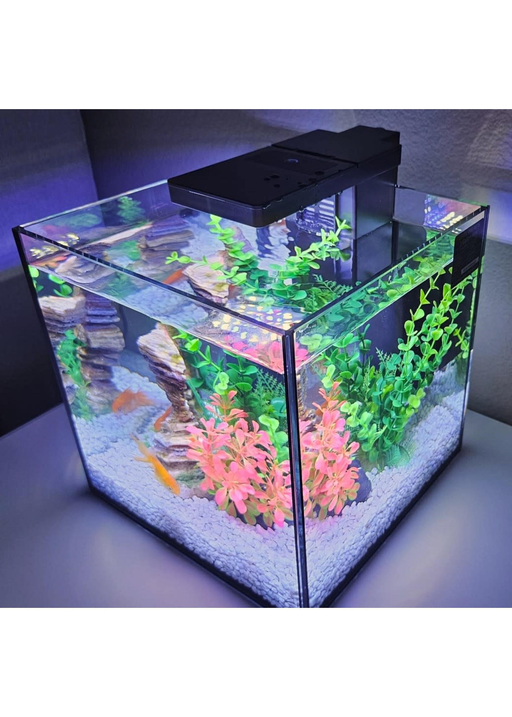 Level One Pets MINI 3 GALLON AQUARIUM KIT INCLUDES DUO 2 IN 1