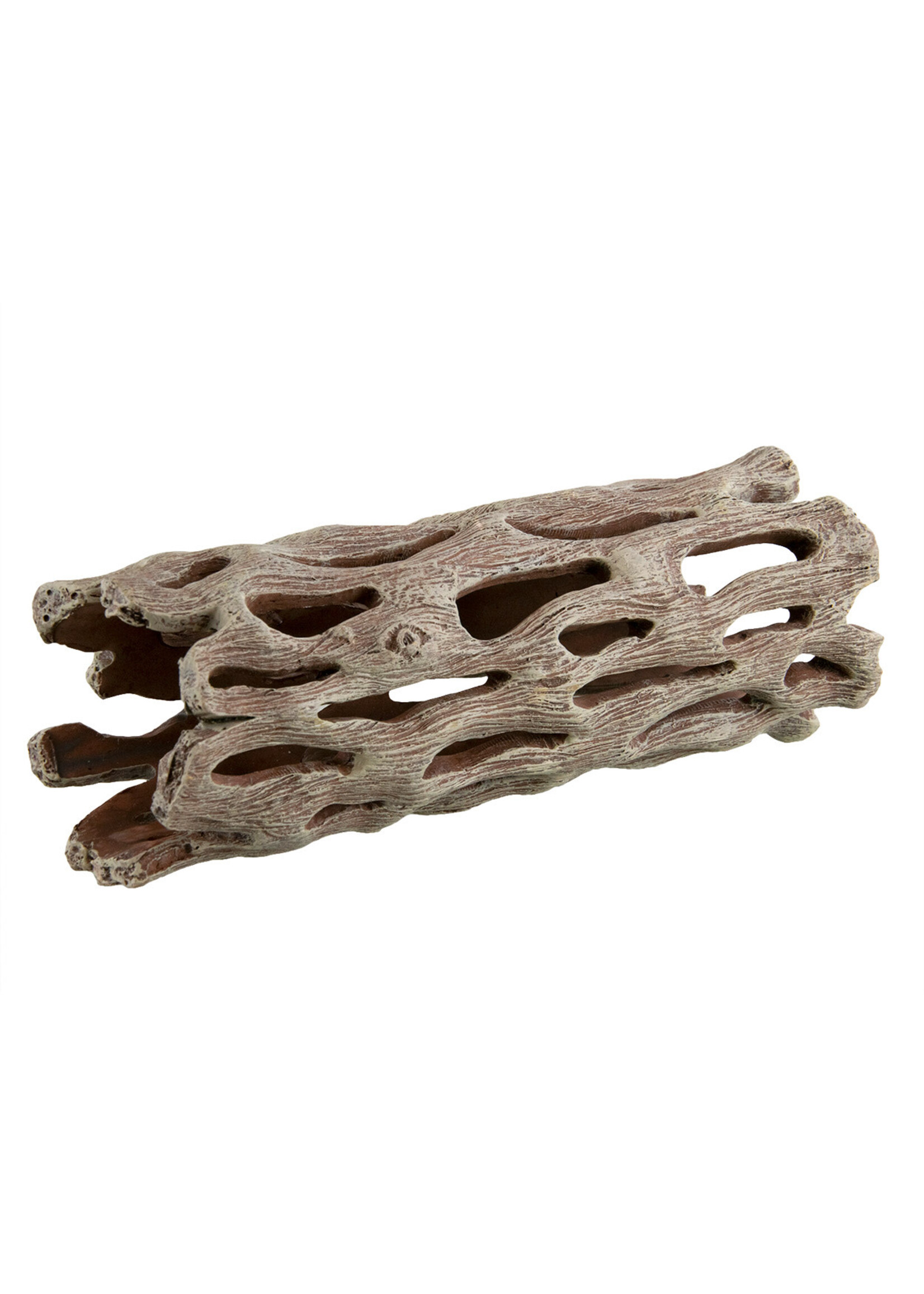 Underwater Treasures CHOLLA WOOD RESIN MD