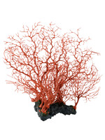 Underwater Treasures SEAFAN CLUSTER