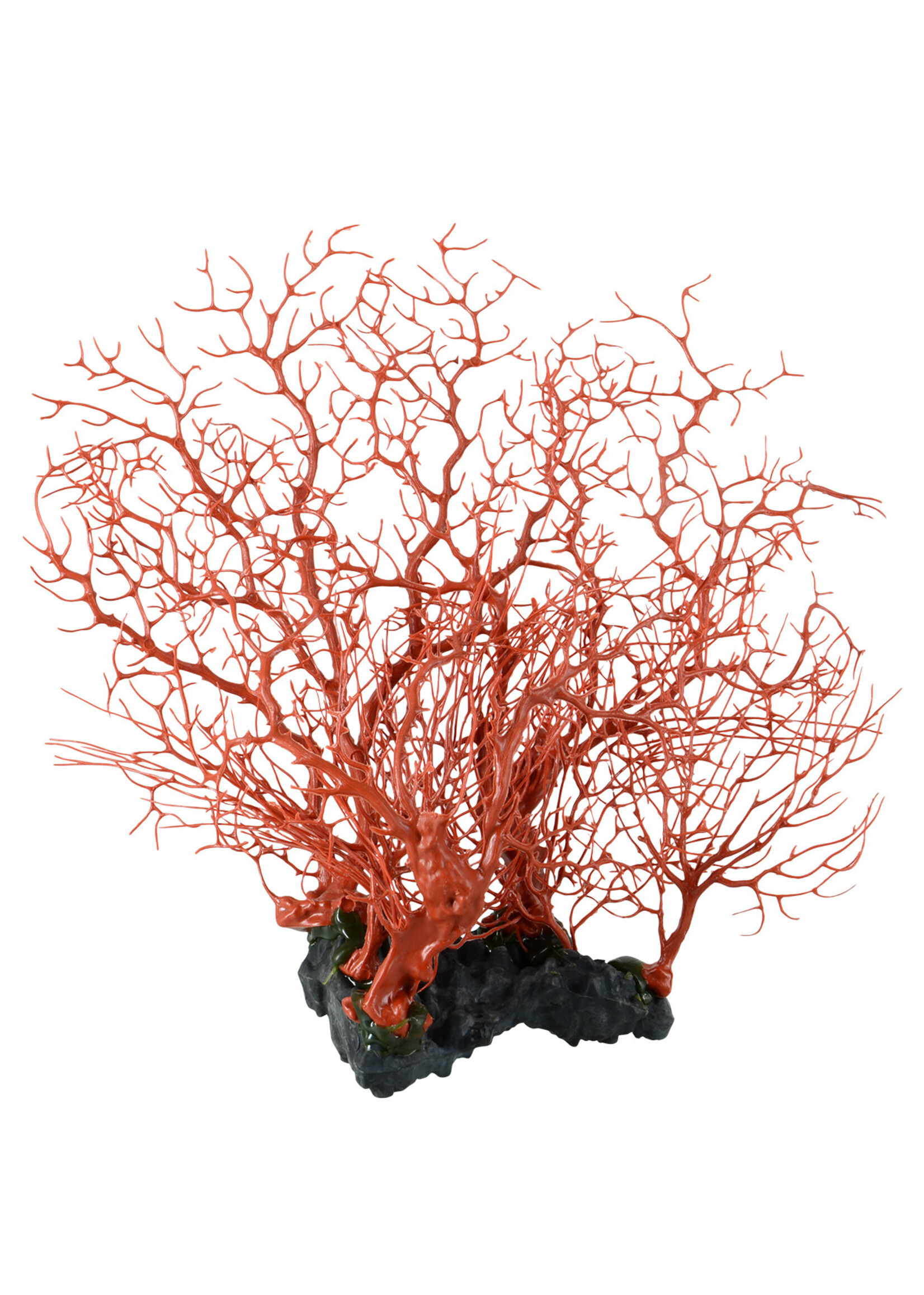 Underwater Treasures SEAFAN CLUSTER