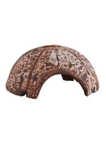 Underwater Treasures CERAMIC COCONUT