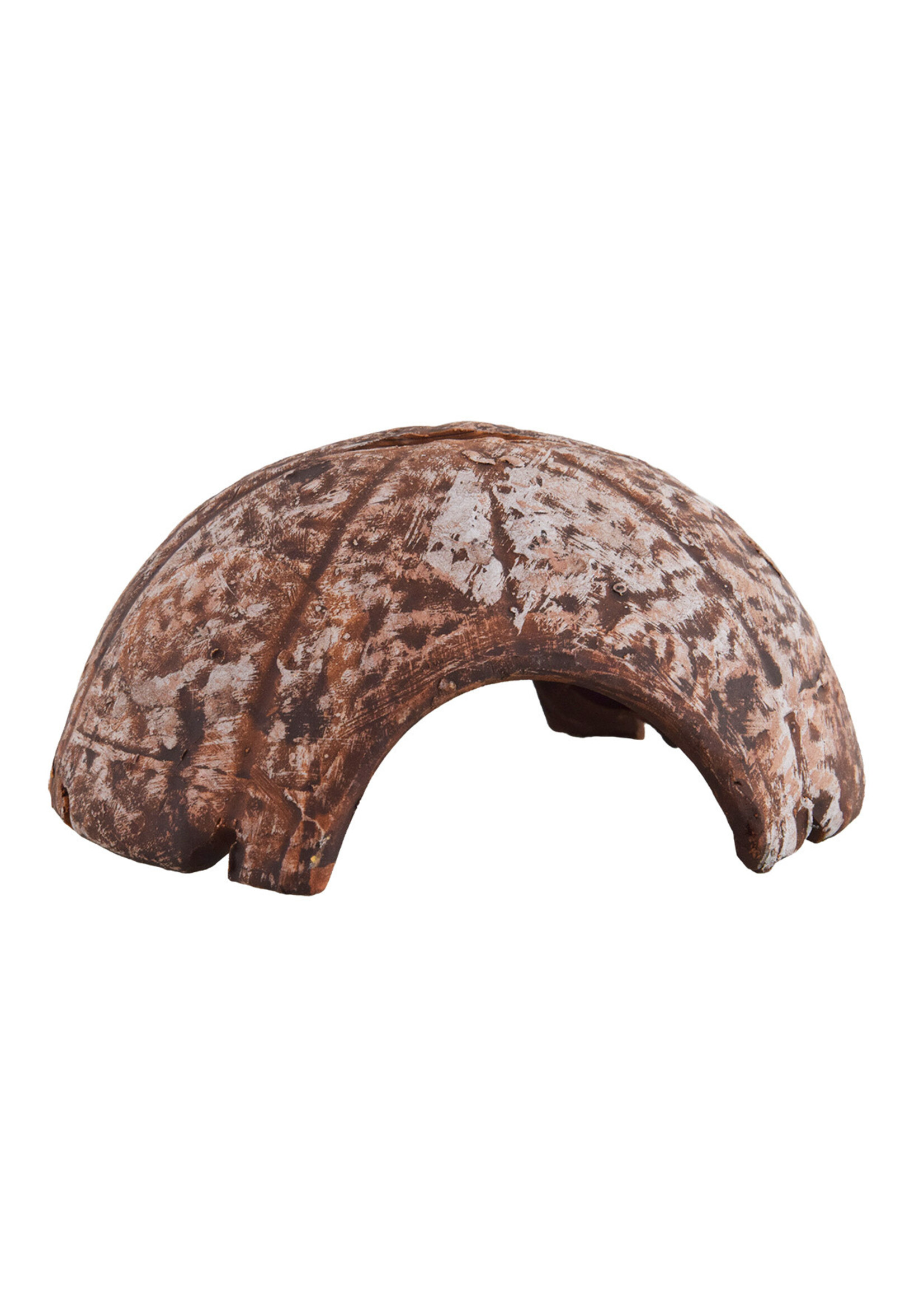 Underwater Treasures CERAMIC COCONUT