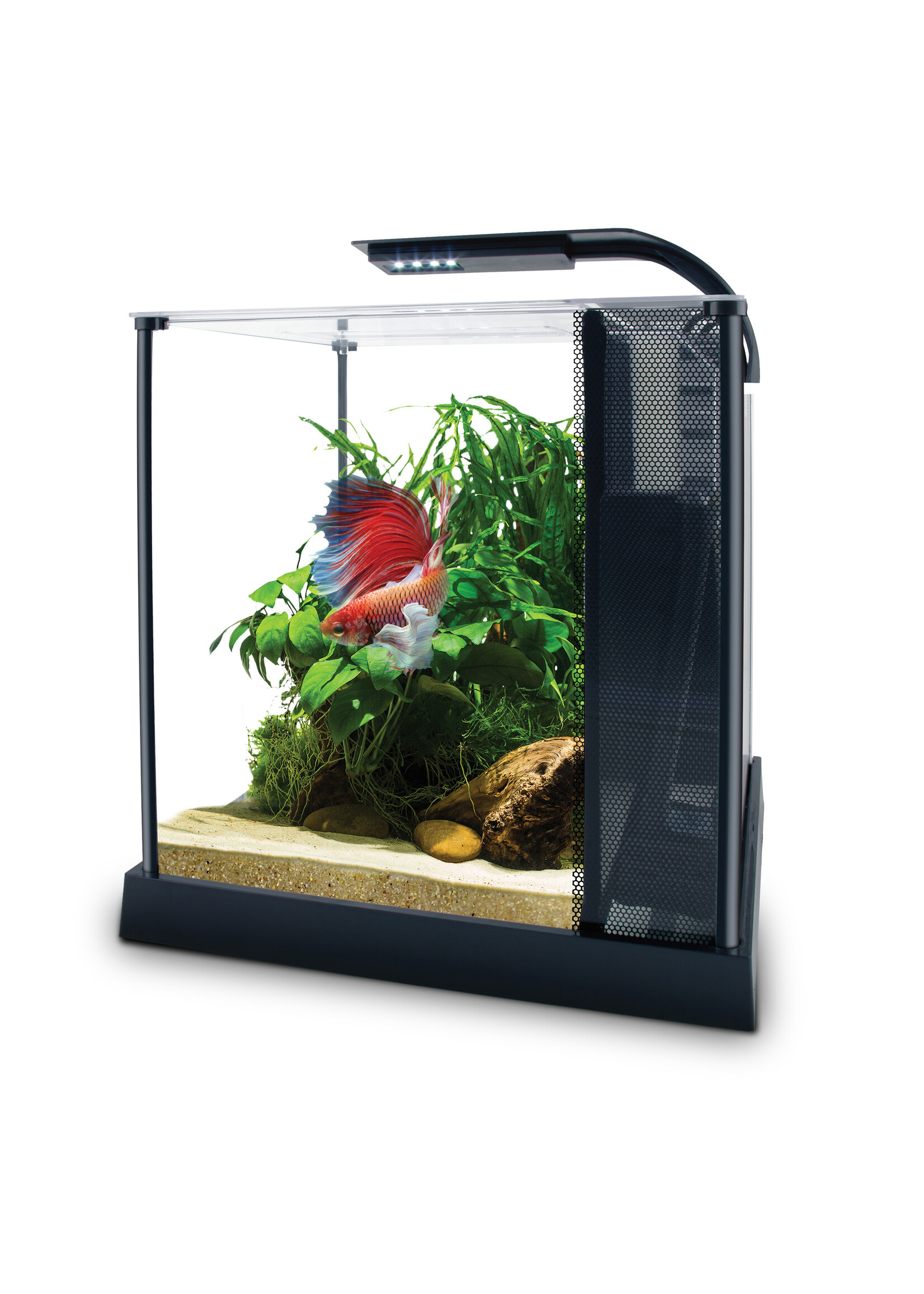 Fluval BETTA KIT 2.6 GAL