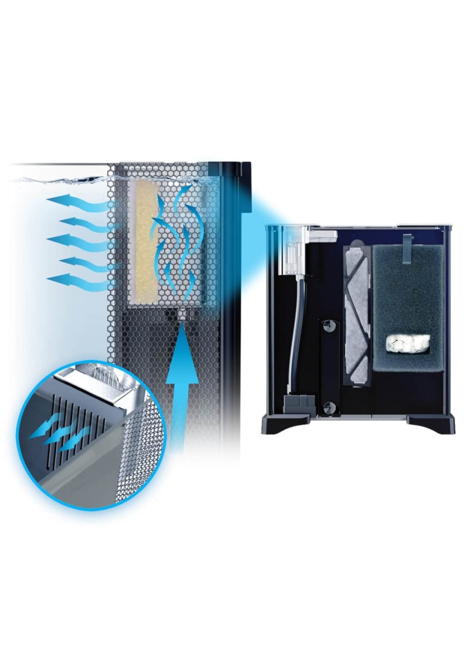 Fluval BETTA AQUARIUM KIT 6 GAL