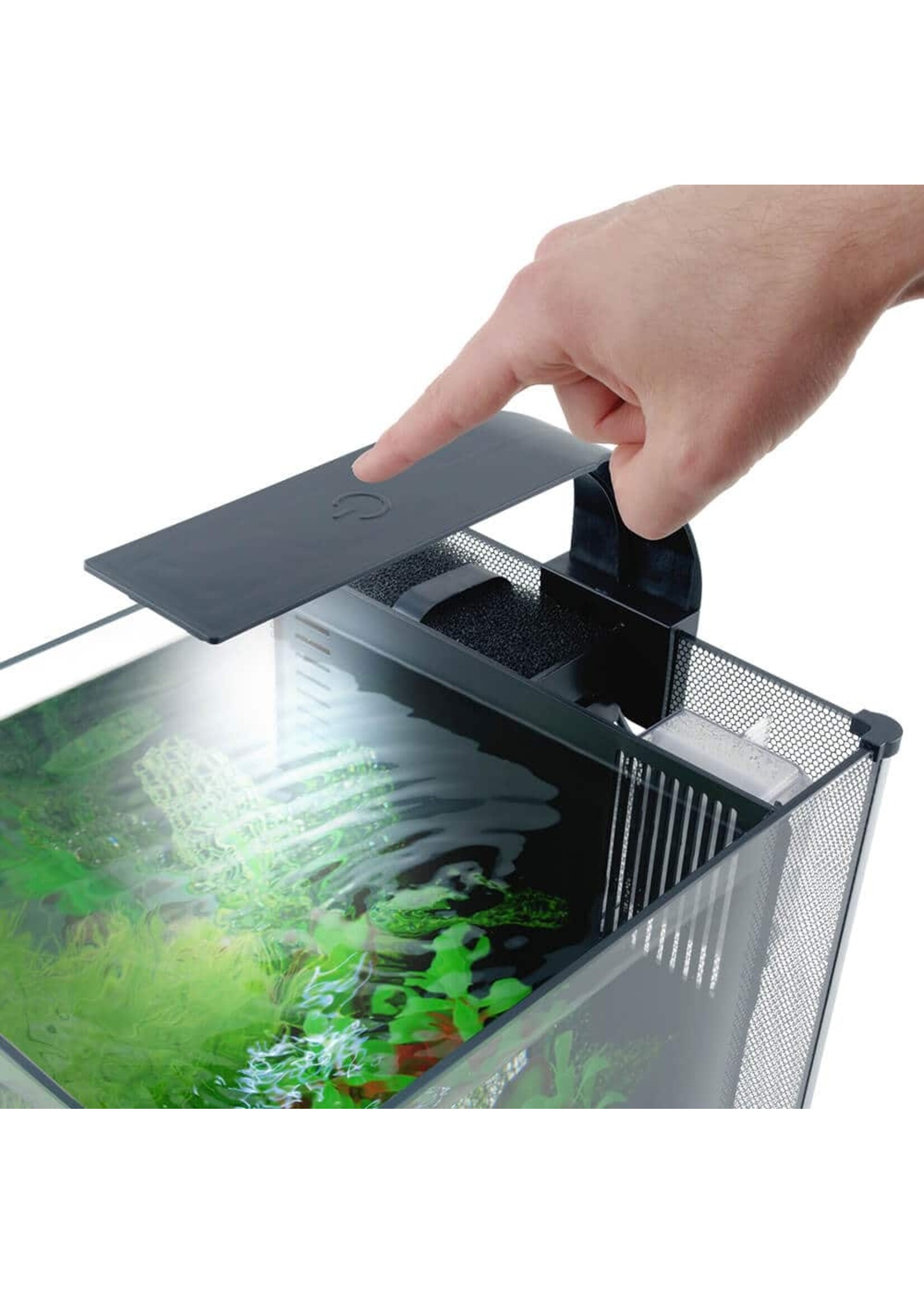 Fluval BETTA AQUARIUM KIT 6 GAL