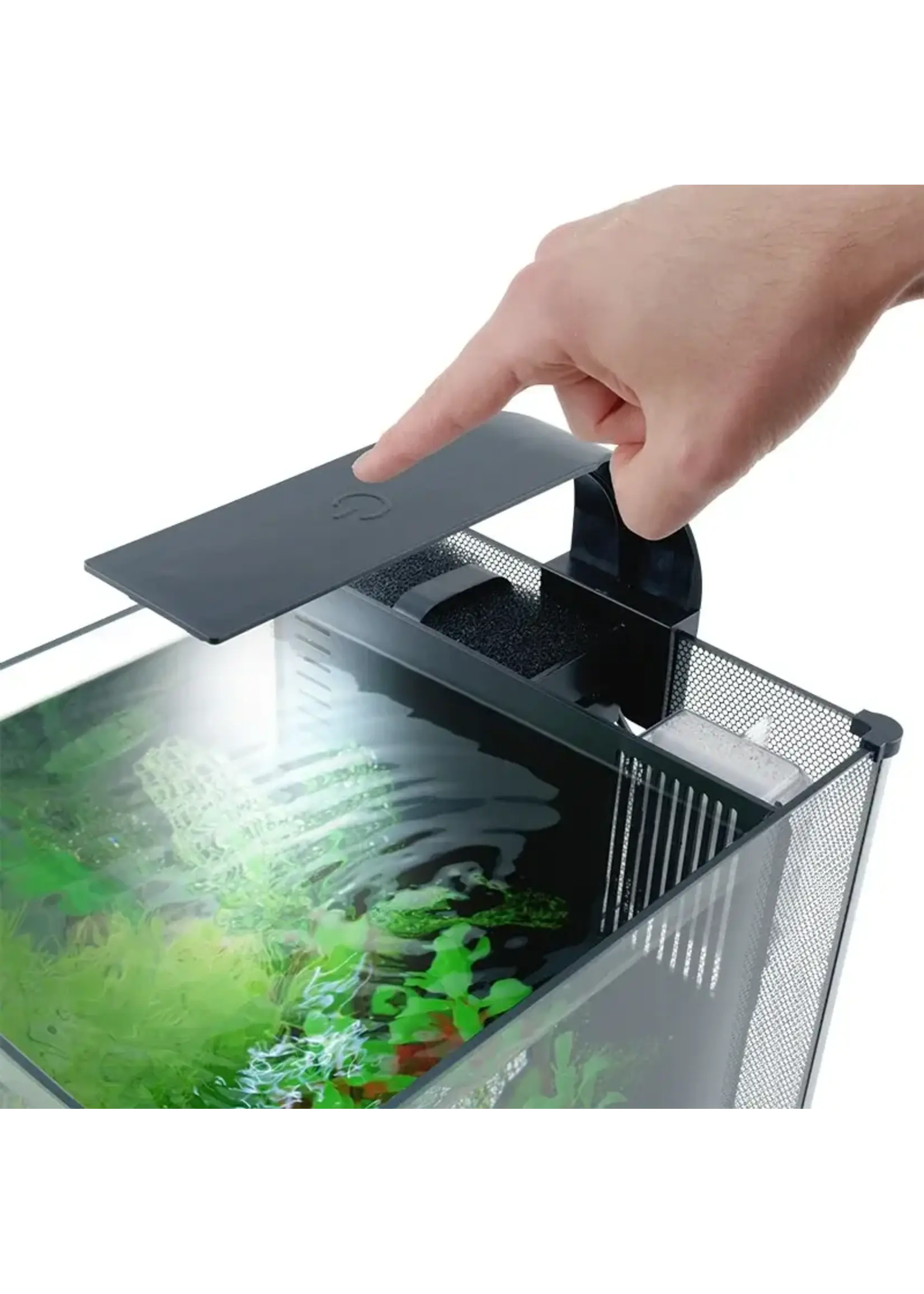 Fluval BETTA KIT 2.6 GAL