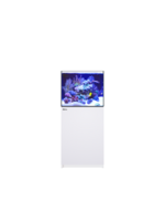 Red Sea REEFER 200 G3 WHITE