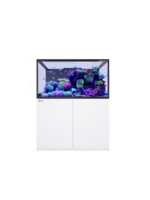 Red Sea REEFER S-550 G3 WHITE