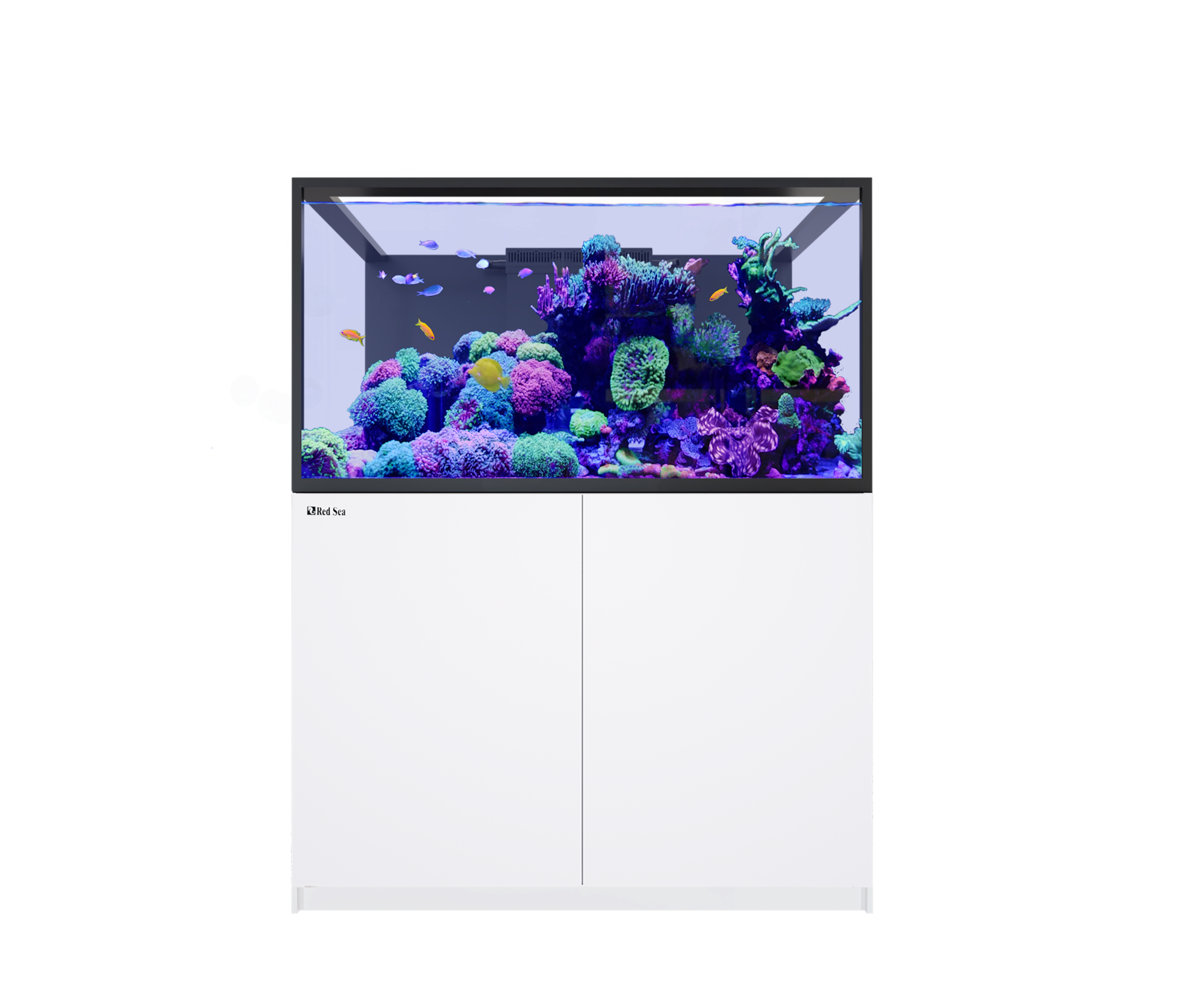 REEFER S-550 G3 WHITE