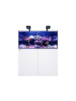 Red Sea REEFER 350 G3 DELUXE - WHITE (INCL. 2 X RL115 & ARM)