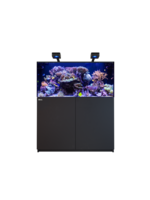 Red Sea REEFER 425 G3 DELUXE - BLACK (INCL. 2 X RL170 & ARM)