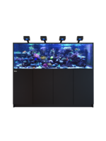 Red Sea REEFER 750 G3 DELUXE - BLACK (INCL. 4 X RL 115 & ARM)