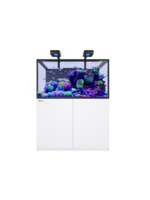 Red Sea REEFER S-550 G3 DELUXE WHITE (INCL. 2 X RL 170 & ARMS)