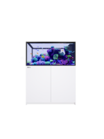 Red Sea REEFER PENINSULA 500 G3 WHITE