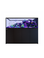Red Sea REEFER PENINSULA S 950 G3 BLACK