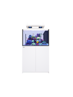 Red Sea REEFER PENINSULA 350 G3 DELUXE WHITE (INCL 2XRL115 & PENDANT)