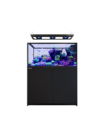 Red Sea REEFER PENINSULA 500 G3 DELUXE BLACK (INCL 3 X RL115 & PENDANT)